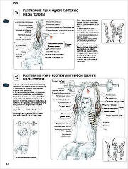 ������ ��� �������