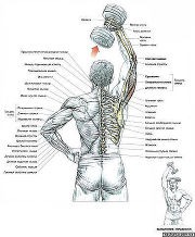 ������ ��� �������