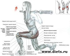 ������ ��� �������