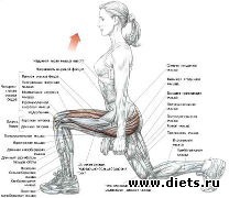 ������ ��� �������