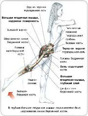 ������ ��� �������