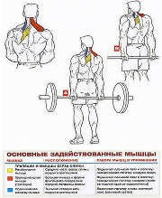 ������ ��� �������