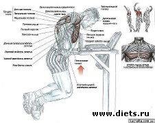 ������ ��� �������