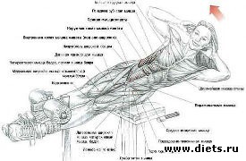 ������ ��� �������