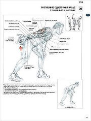 ������ ��� �������