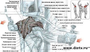 ������ ��� �������