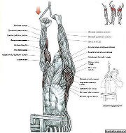 ������ ��� ������� 2