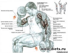 ������ ��� ������� 2