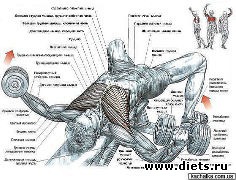 ������ ��� ������� 2