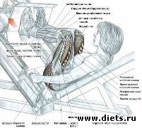 ������ ��� ������� 2