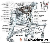 ������ ��� ������� 2