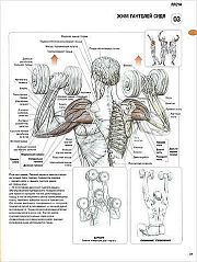 ������ ��� ������� 2