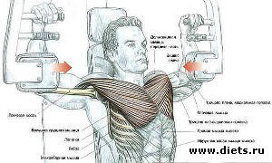 ������ ��� ������� 2