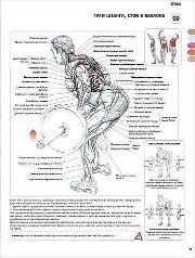 ������ ��� ������� 2