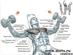 ������ ��� ������� 2