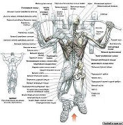 ������ ��� ������� 2