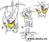 ������ ��� ������� 2