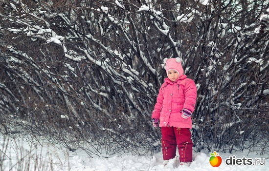 5 ����: ��� ����������