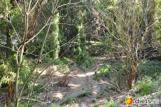 1 ����: � ��� �������!!!