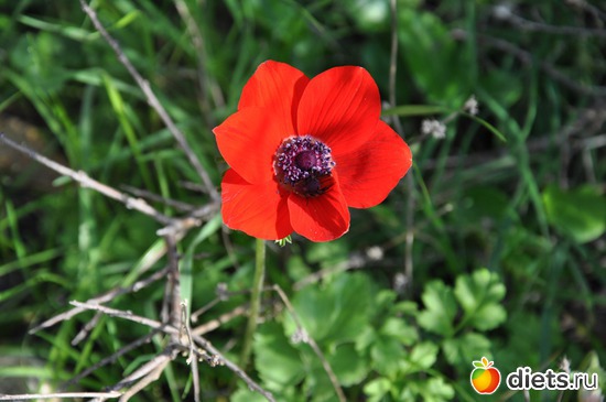 5 ����: � ��� �������!!!