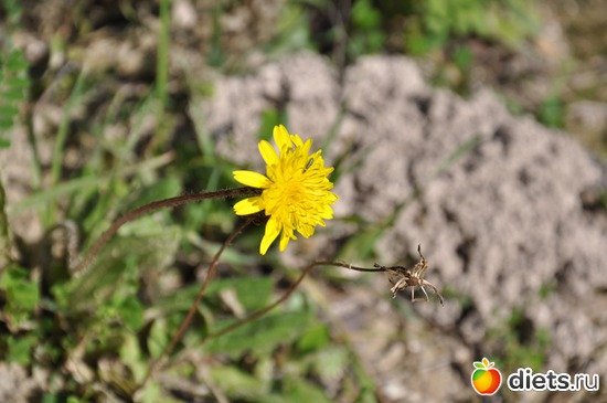 6 ����: � ��� �������!!!