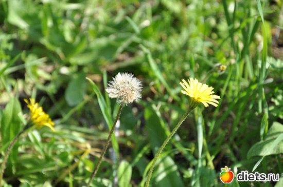 7 фото: У нас веснааа!!!