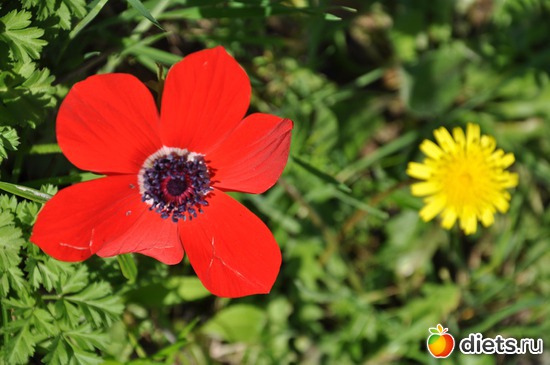 8 фото: У нас веснааа!!!