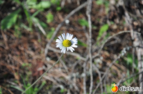 10 ����: � ��� �������!!!