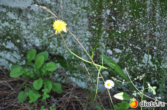 11 фото: У нас веснааа!!!