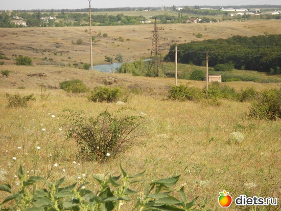 27 фото: Моя дача