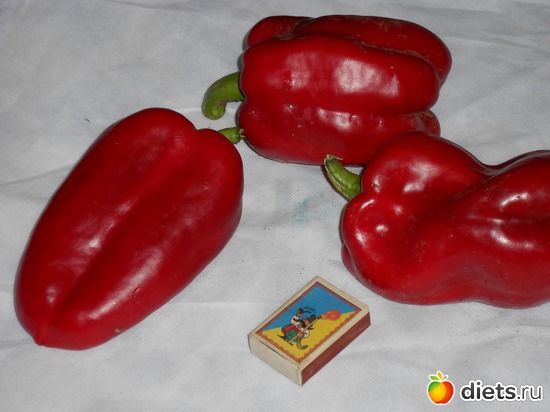 ГЕРАКЛ, альбом: Моя дача