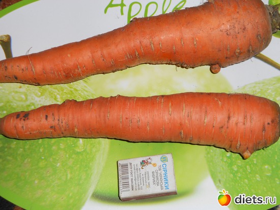 35 фото: Моя дача