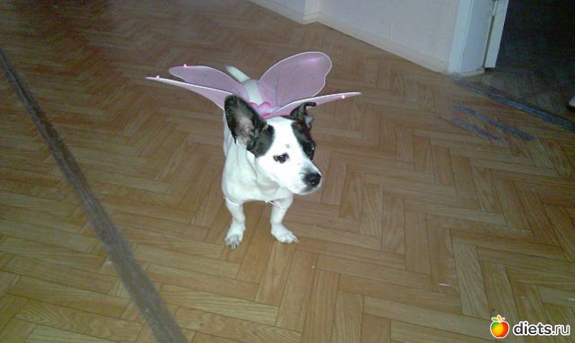 ��� ������� �������))))), ������: �))))