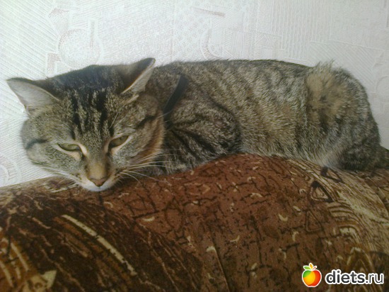 ��� ��� ������))), ������: �))))