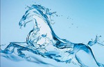 Вода! Вода! Кругом вода!!! (09-10.02.2013)
