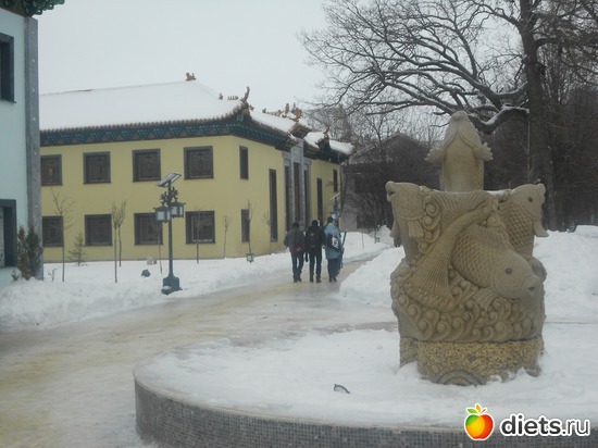 2 фото: Золотой город под Тулой - китайский новый год 2013