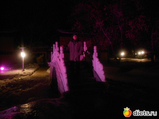 12 фото: Золотой город под Тулой - китайский новый год 2013