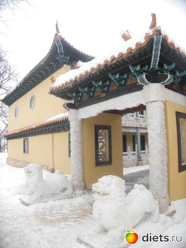 17 фото: Золотой город под Тулой - китайский новый год 2013