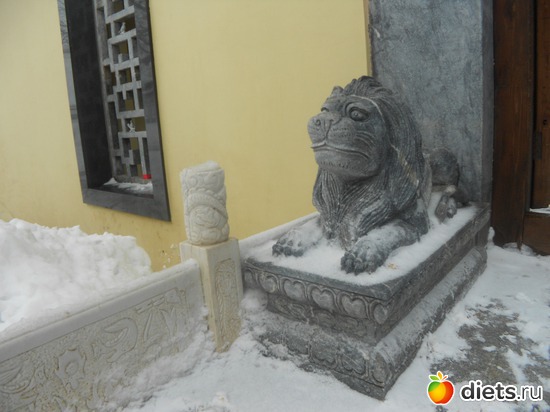 30 фото: Золотой город под Тулой - китайский новый год 2013