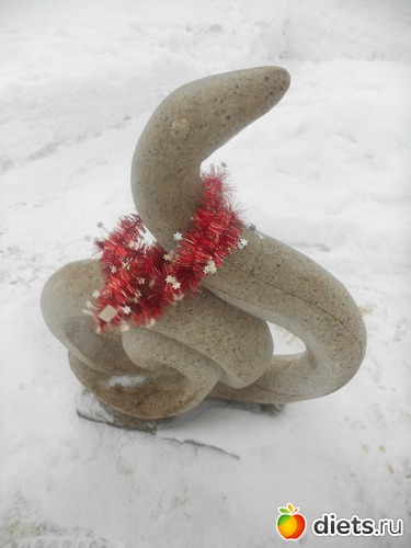 37 фото: Золотой город под Тулой - китайский новый год 2013