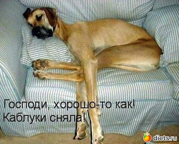 8 фото: Улыбнись !!! )))))