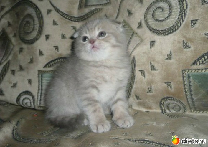 ����� ���� ���., ������: ����� ���� ����� ���� ������ ��� ����� =)