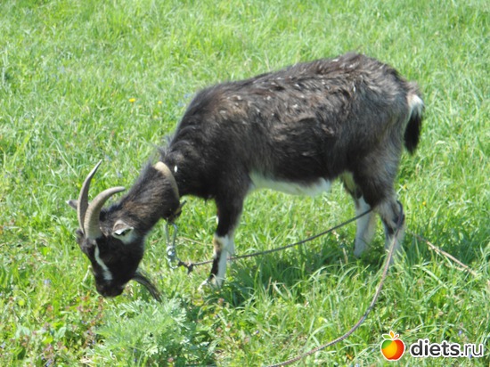 3 ����: ���� � �������