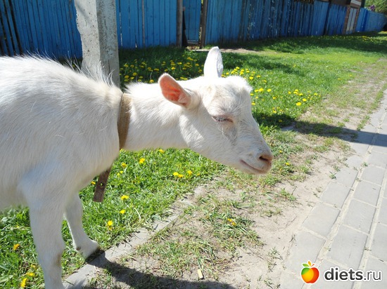 4 ����: ���� � �������