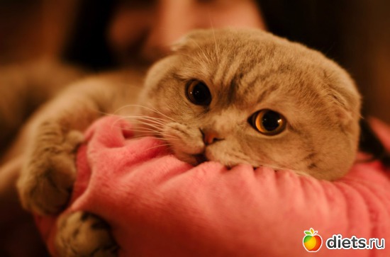 ����� ����������., ������: ����� ���� ����� ���� ������ ��� ����� =)