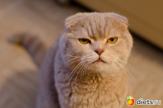 ����� ���������� ����������� �������., ������: ����� ���� ����� ���� ������ ��� ����� =)