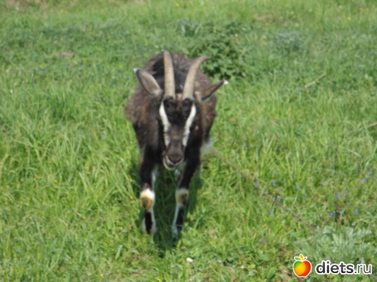 5 ����: ���� � �������