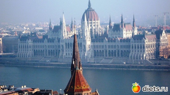 37 ����: �����: � � ������ ���