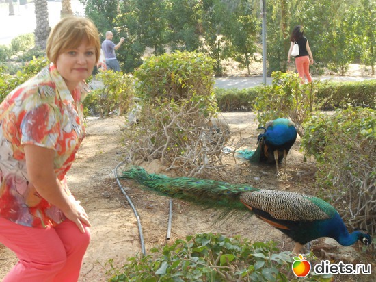 6 ����: ���