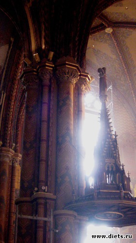 41 ����: �����: � � ������ ���